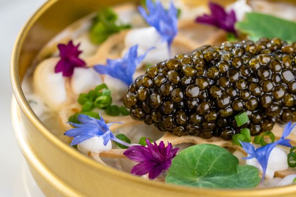 “Beluga Catcher” - sturgeon caviar with shrimp salad