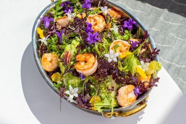Aurora Salad – Romaine lettuce with citrus vinaigrette and toasted seeds
